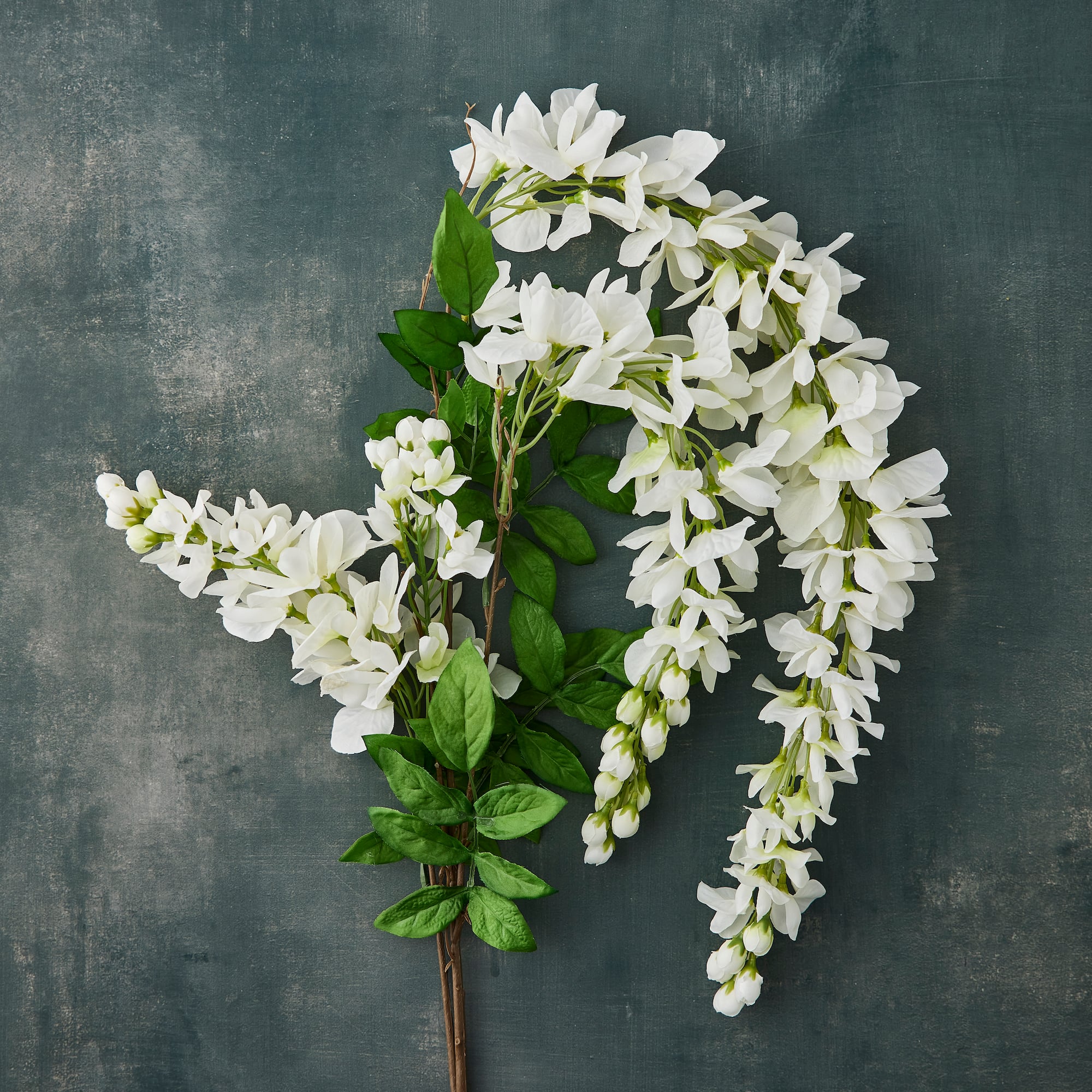 Cream Wisteria Stem by Ashland®